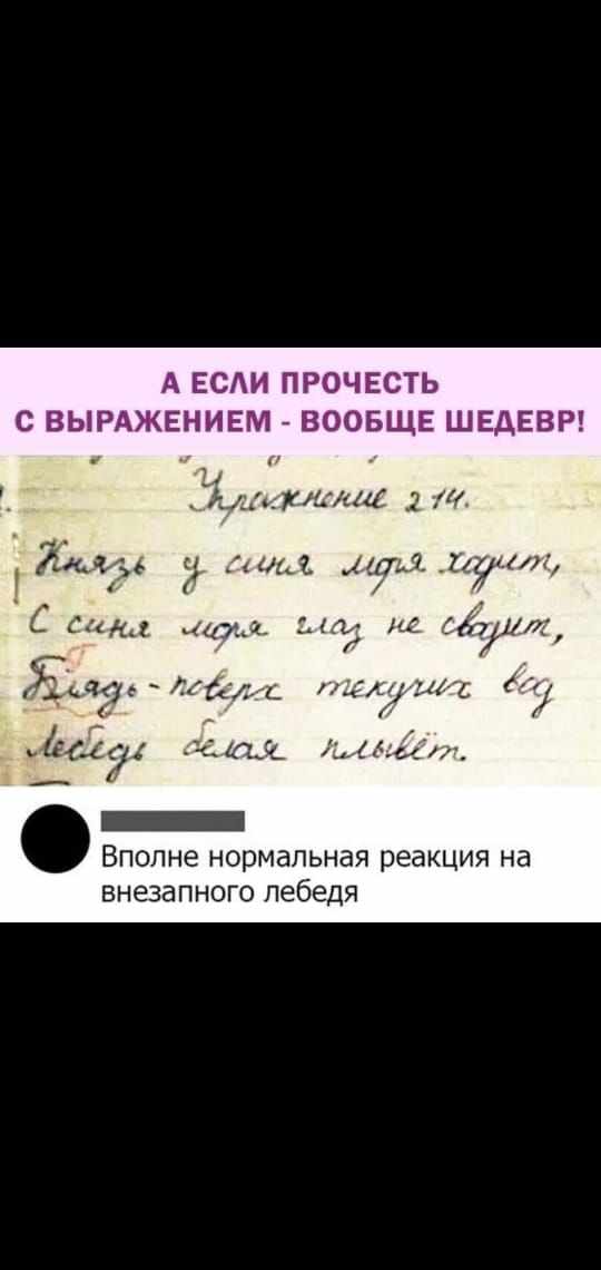 А ЕСАИ ПРОЧЕСТЬ с ВЫРАЖЕНИЕМ ВООБЩЕ ШЕДЕВР дмгда _ 11 маме дим ши Луи С Сац ау 671175 ЗТ 39 дал и171111 _ а га_ иди _ Вполне нормальная реакция на внезапного лебедя