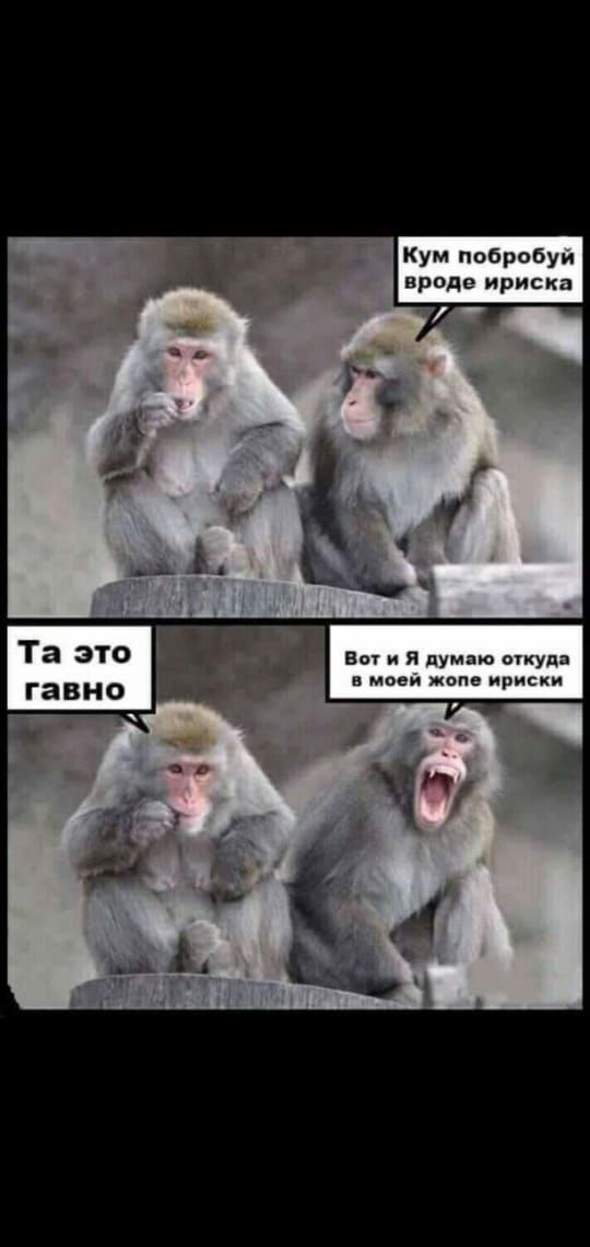 Кум побробуи вроде ириска