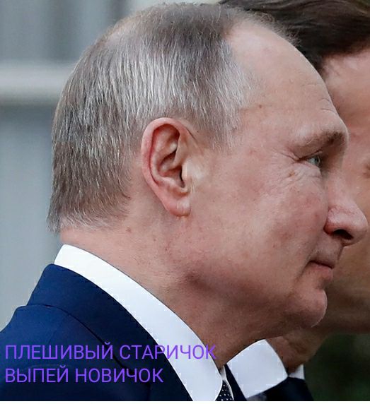 гшьшивыи СТА ВЫПЕИ новичок