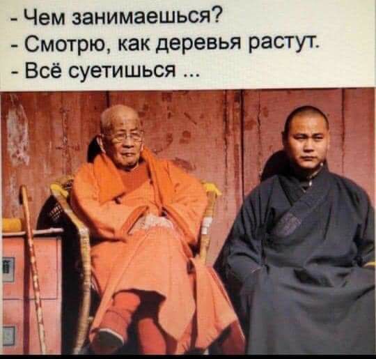 Чем занимаешься Смотрю как деревья растут Всё суетишься