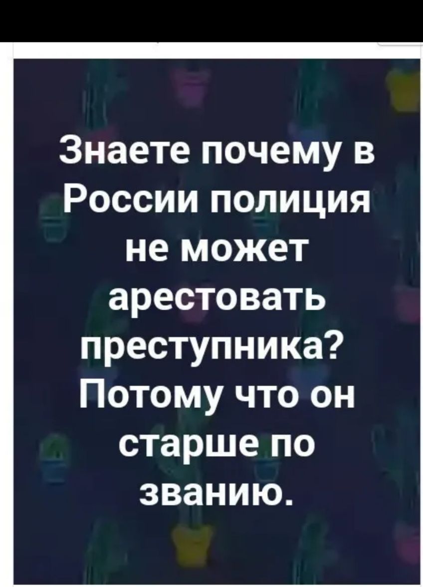 Знаете почему в России полиция не может арестовать преступника Потому что он старше по званию