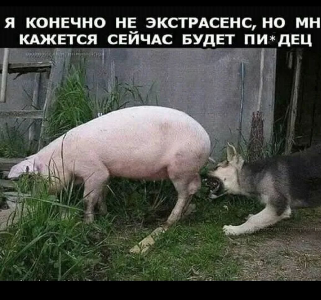 Я КОНЕЧНО НЁ ЭКСТРАСЕНС НО МН КАЖЕТСЯ СЕИЧАС БУДЕТ ПИдЕЦ 7