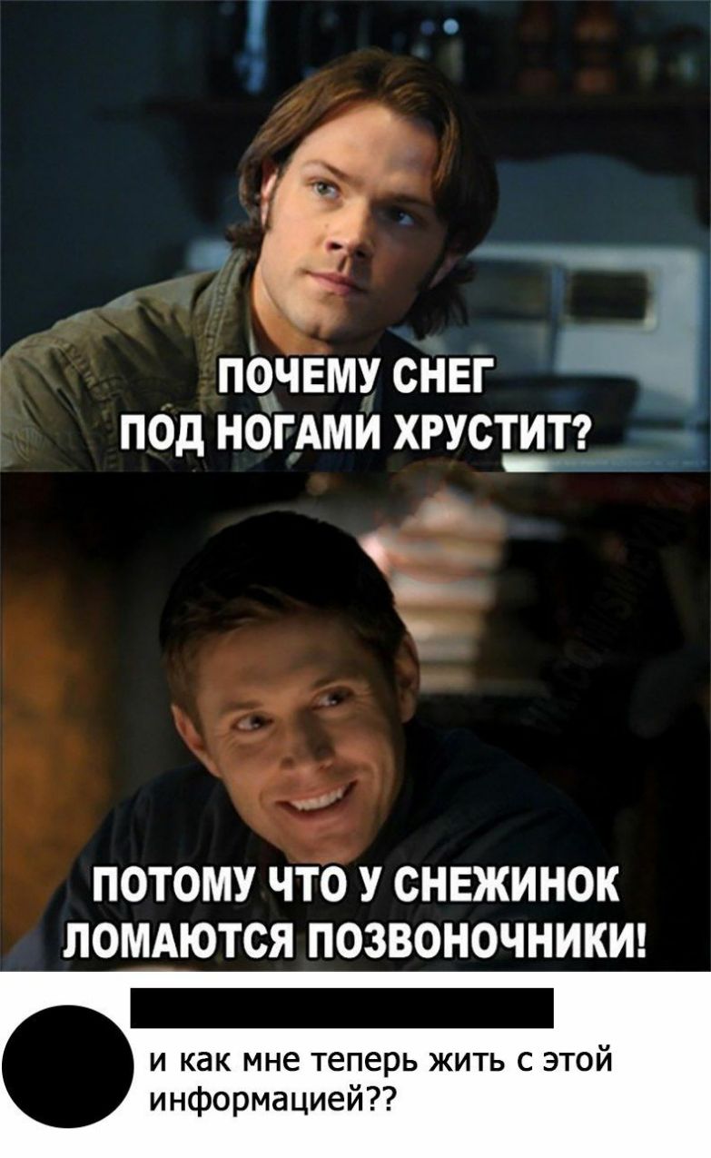 ПОЧЕМУ СНЕГ ПОД НОГАМИ ХРУСТИТ ПОТОМУ ЧТО У СНЕЖИНОК ЛОМАЮТСЯ ПОЗВОНОЧНИКИ и как мне теперь жить с этой информацией