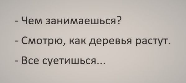 Чем занимаешься смотрю как деревья растут все суетишься картинка