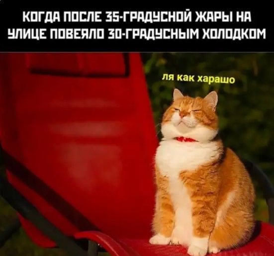 КПГдЛ ППШЕ ЗЕ ГРМНЕНПЙ ЖИРЫ Нд НЛИЦЕ ППВЕШШ ЗП ГРМВЕНЫМ ХПЛПдКПМ П КОК