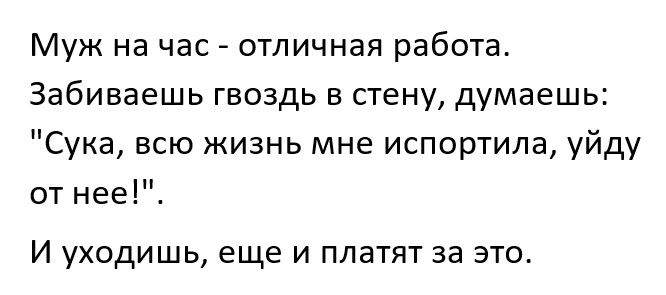 Муж на час отличная работа Забиваешь гвоздь в стену думаешь Сука всю жизнь мне испортила уйду от нее И уходишь еще и платят за это