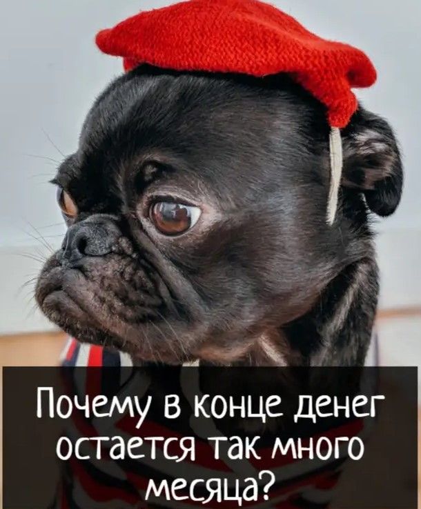 _4 Почему в конце денег остается так много месяца