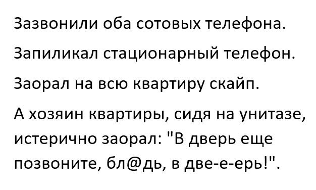 Зазвонили оба сотовых телефона Запиликал стационарный телефон Заорал на всю квартиру скайп А хозяин квартиры сидя на унитазе истерично заорал В дверь еще позвоните блдь в две е ерь