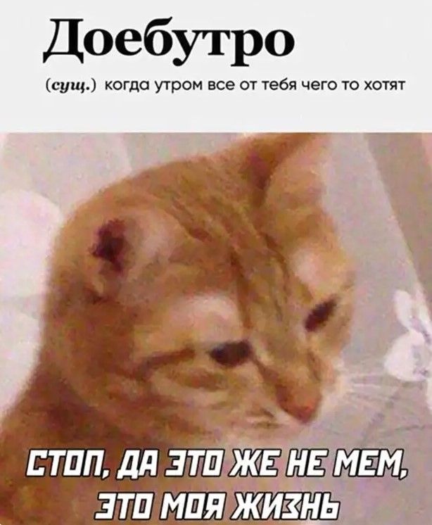 Доебутро сущ когда утром все от тебя чего то хотят втпп дд зтпёкм ЁЁ зтп мия ж