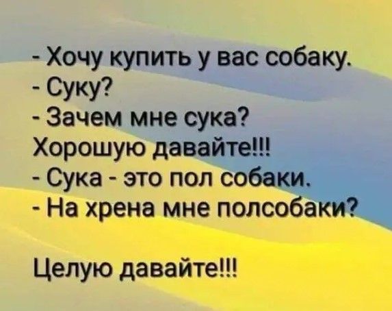 Хочу купить у вас собаку Суку Зачем мне сука Хорошую давайте Сука это пол собаки На хрена мне попсобаки Целую давайте