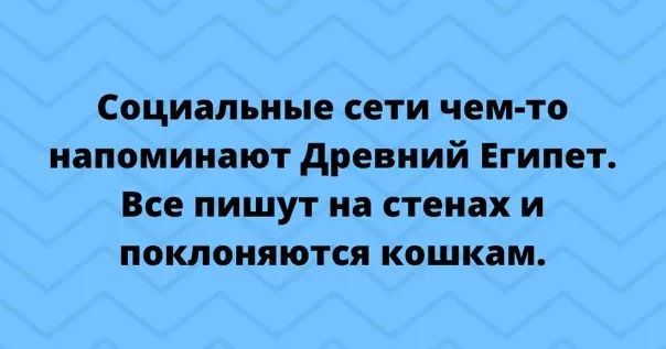 Социальные сети чем то напоминают древний Египет Все пишут на стенах и поменяются кошкам