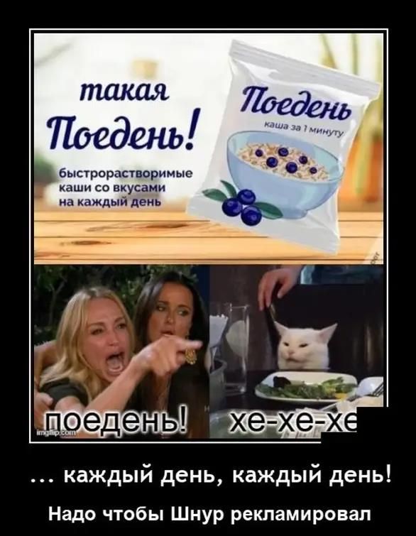 быстрорастпорнмью аши со вкусами на каждый день каждый день каждый день Надо чтобы Шнур рекламировал