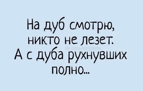 На дуб смотрю никто не лезет А с дуба рухнувших полно