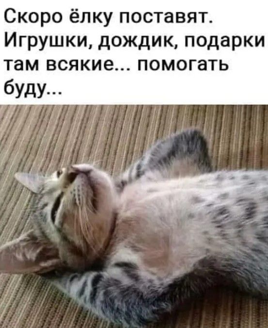 Скоро ёлку поставят Игрушки дождик подарки там всякие помогать буду