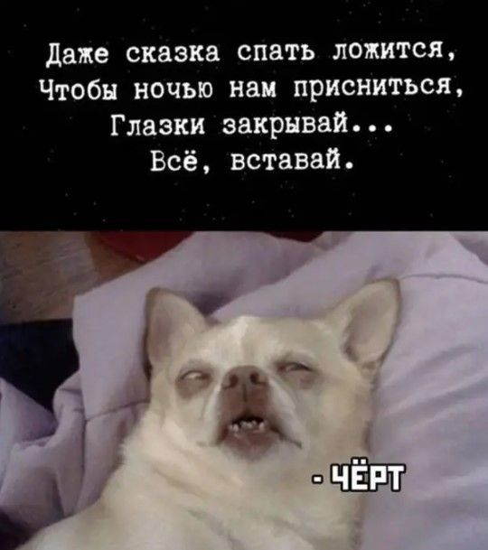 даже сказка спать ложится Чтобы ночью наи присниться Глазки эвкрнвай Всё вставай