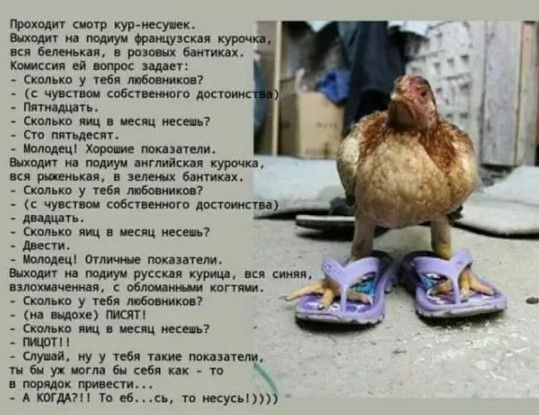 шт от ниткуш мд Мими курт я ки им впав п Быги сп Кжкия в щ _ им 7 чукпш оба вила 1 скплыю щ не несе _ тд ым ми пли мат юшуи ми куры кл р лющ ш скольки у тебя либо пики собак дить _ д щиь ш икт шип дпни шипит шит мтв Русин курии мя _ щщш шт шт у и с _ в мю ину ля у у тебя пм ми тбиукивтдебиих тп трип шит тп еб т жуки