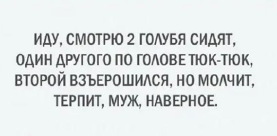 ИАУ СМОТРЮ 2 ГОАУБЯ СИАЯТ ОДИН АРУГОГО ПО ГОАОВЕТЮК ТЮК ВТОРОЙ ВЗЪЕРОШИАСЯ НО МОАЧ ИТ ТЕРПИТ МУЖ НАВЕРНОЕ
