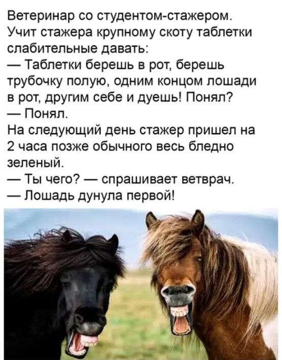 Ветеринар со студентом стажером Учит стажера крупному скоту таблетки слабительные давать Таблетки берешь в рот берешь трубочку полую одним концом лошади в рот дРугим себе и дуешь Понял Понял На следующий день стажер пришел на 2 часа позже обычного весь бледно зеленый Ты чего спрашивает ветврач Лошадь дунупа первой о