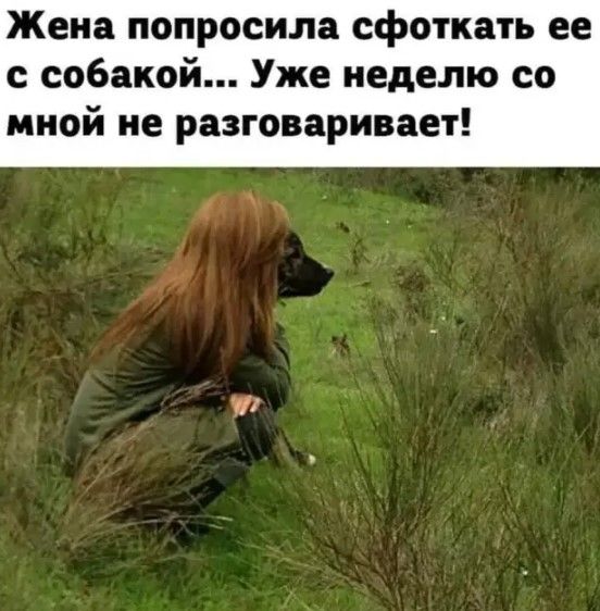 Жена попросила сфоткать ее с собакой Уже неделю со мной не разговаривает