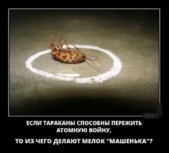 ЕСЛИ ТАРАКАНМ спосовны птжить АТОМНУЮ войнУ ТО ИЗ ЧЕГО дЕЛАЮТ МЕЛОК МАШЕИЪКА