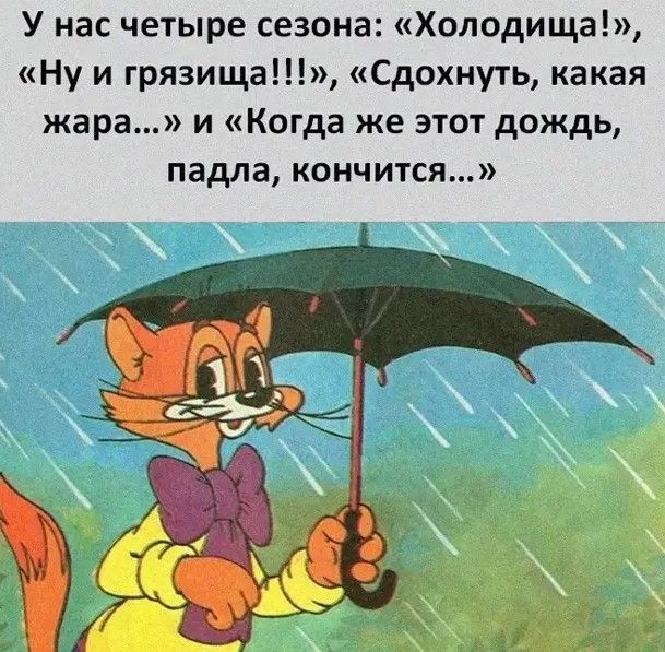 У нас четыре сезона Холодища Ну и грязища Сдохнуть какая жара и Когда же этот дождь падла кончится