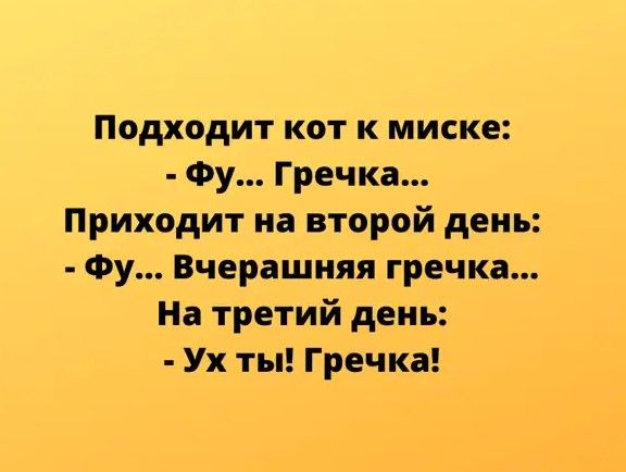 Подходит кот к миске Фу Гречка Приходит на второй день Фу Вчерашняя гречка На третий день Ух ты Гречка