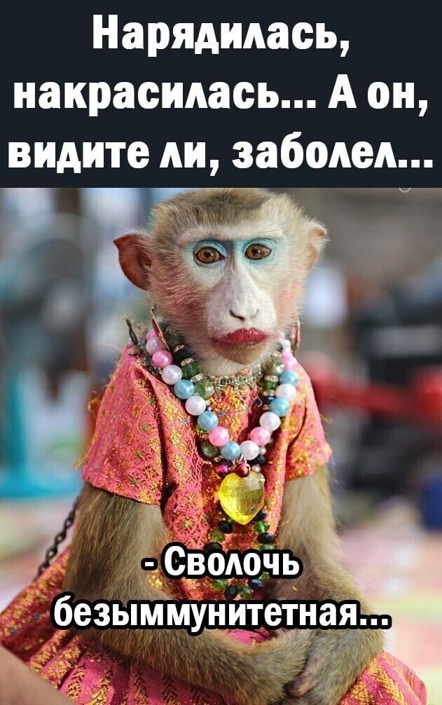 Нарядидась накрасидась А он видите ли заболел безыммунитетна
