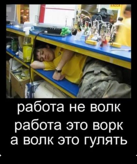 работа не волк работа это ворк а волк это гулять