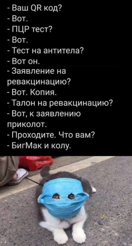 Ваш ОК код Вот ПЦР тест Вот Тест на антитела Вот он Заявление на ревакцинацию Вот Копия Талон на ревакцинацию Вот к заявлению приколот Проходите Что вам БигМак и колу