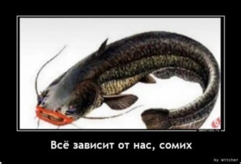 Всё зависит от нас самих