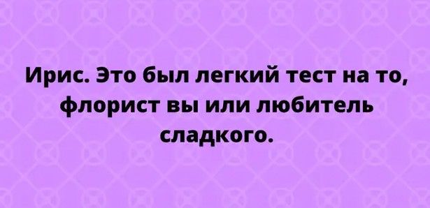 Ирис Это был легкий тест на то флорист вы или любитель сладкого