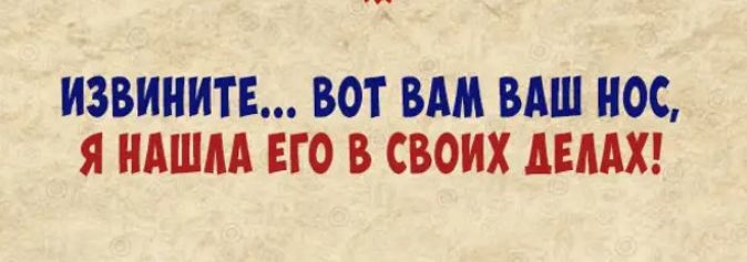 ИЗВИНИТЕ ВОТ ВАМ ВАШ НОС Я НАША ЕГО В СВОИХ ЛЕААХ