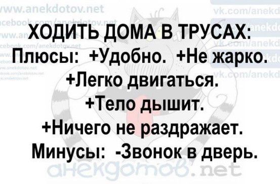 ХОДИТЬ ДОМА В ТРУСАХ Плюсы Удобно Не жарко Легко двигаться Тепо дышит Ничего не раздражает Минусы 3вонок в дверь