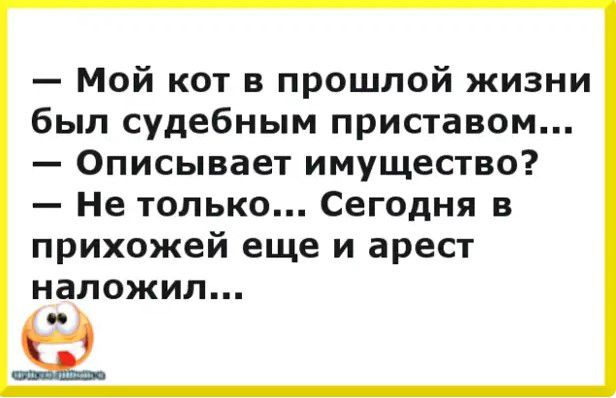 Мой кот в прошлой жизни был судебным приставом Описывает имущество Не только Сегодня в прихожей еще и арест наложил