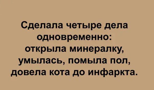 Сделала четыре дела одновременно открыла минералку умыпась помыла поп довела кота до инфаркта