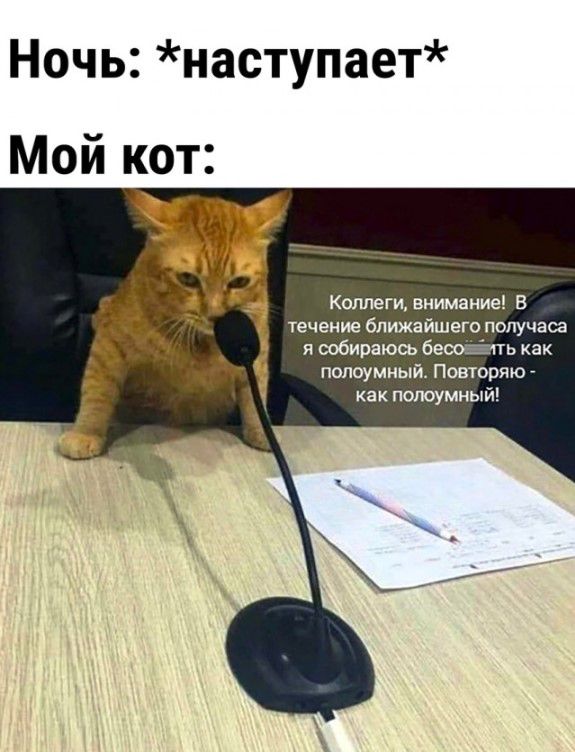 Ночь наступает Мой кот Ксллеги вншаиие в течение ближмшего получаса латунный Повш из как ттумньпй