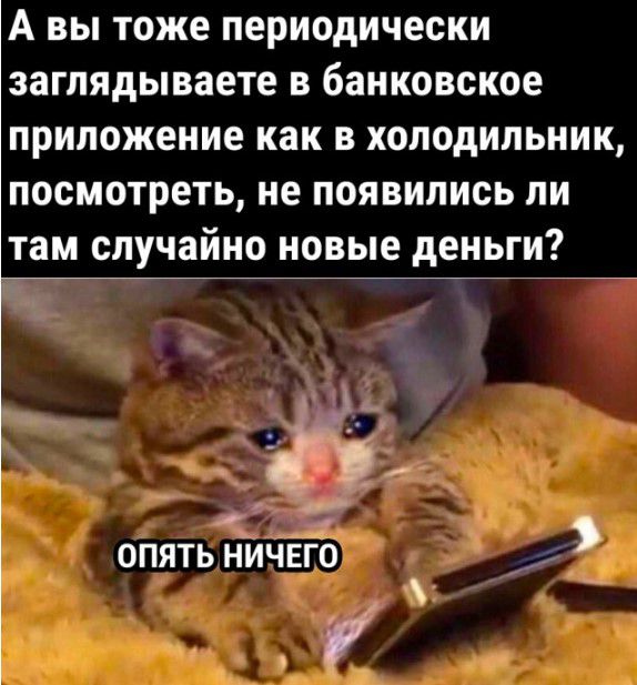 А ВЫ тоже периодически ЗЗГЛЯДЫВЗЕТЕ В банковское ПРИЛОЖЕНИЕ как В ХОЛОДИЛЬНИК ПОСМОТРЕТЬ не ПОЯВИЛИСЬ ЛИ там случайно НОВЫЕ дЕНЬГИ __ _ опять нйчЁГо і