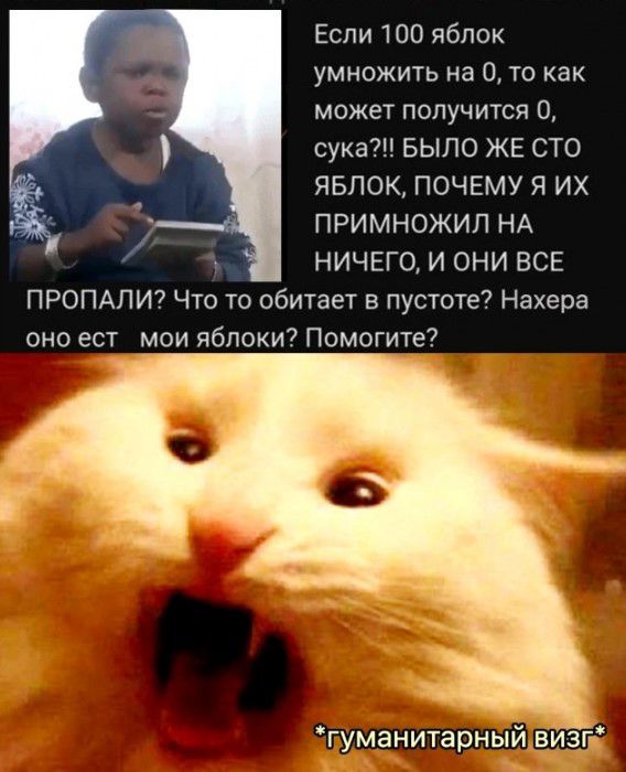 Еспи 100 яблок УМНОЖИТЬ на 0 ТО как может получится 0 сука БЫЛО ЖЕ СТО ЯБЛОК ПОЧЕМУ Я ИХ ПРИМНОЖИП НА НИЧЕГО И ОНИ ВСЕ ПРОПАПИ Что то обитает в пустоте Нахера оно ест мои яблпки7 Помогите гуманитарныйвизгг
