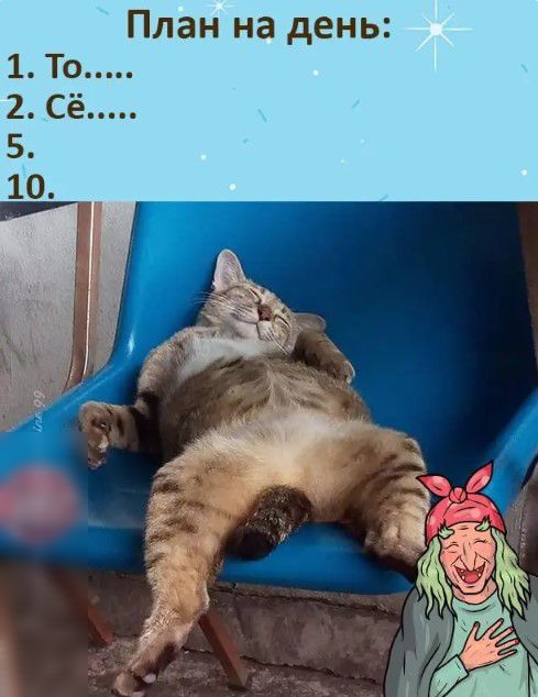 План на день