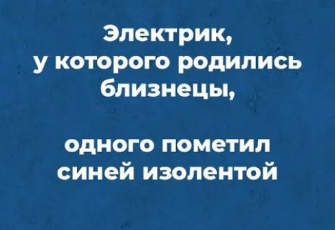 Электрик у которою родились близнецы одного пометип синей изопентой