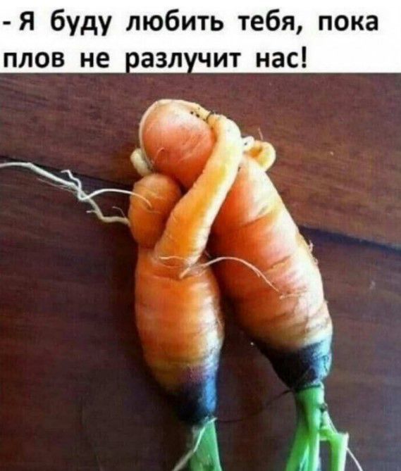 Я буду любить тебя пока плов не азл ит нас