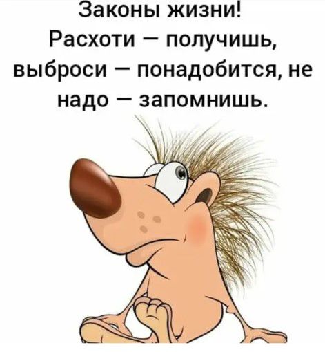 Законы жизни Расхоти получишь выброси понадобится не надо запомнишь