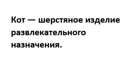 Кот шерстяное изделие развлекательного назначения