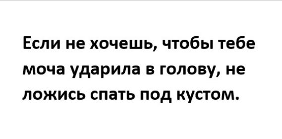 Если не хочешь чтобы тебе моча ударила в голову не ложись спать под кустом