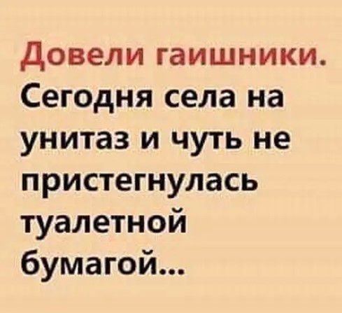 довели гаишники Сегодня села на унитаз и чуть не пристегнулась туалетной бумагой