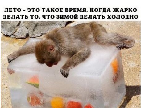 ЛЕТО ЭТО ТАКОЕ ПРЕМЯ КОГДА ШАРКО ПМАТЪ ТО ЧТО ЗЧМОП ПЫАТЬ холодно