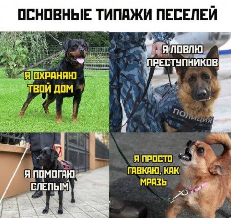 ПСНПВНЫЕ ТИППЖИ ПЕБЕЛЕЙ