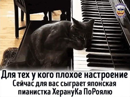 Для тех у кого плохое наЪтроение Сейчас для нас сыграет японская пианистка ХерануКа ПоРоялю