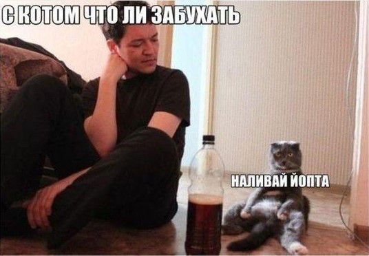 ь