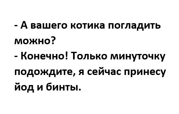 А вашего котика погладить можно Конечно Только минуточку подождите я сейчас принесу йод и бинты